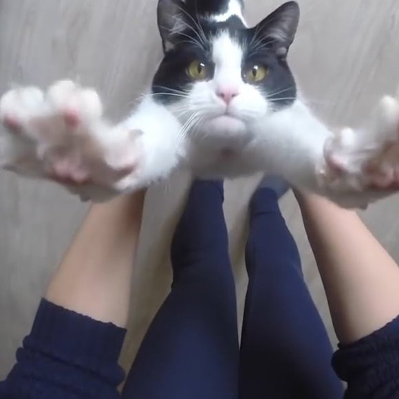 Welcome to the Robin's Nest - Picture 2 of 16